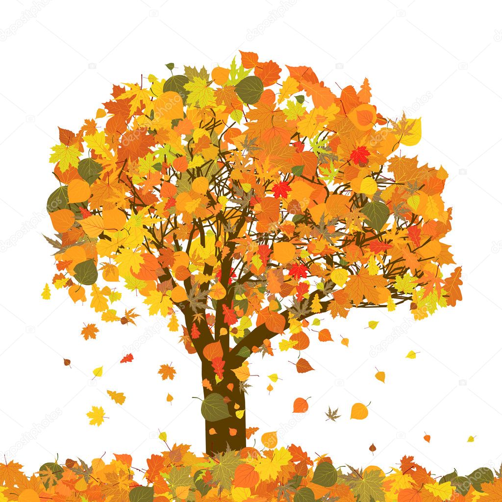 Bellissimo albero di autunno per il vostro disegno EPS 8 — Vettoriale Stock