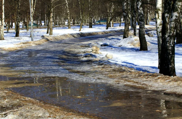 Bahar parkında patika