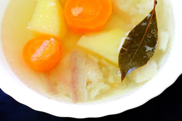 食欲をそそる魚のスープ — ストック写真