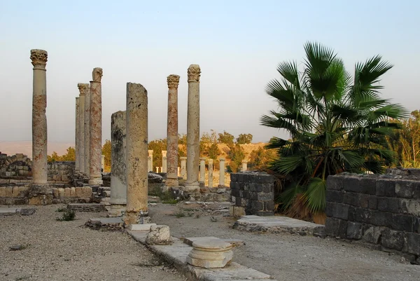 stock image Ancient ruins and a palm tree