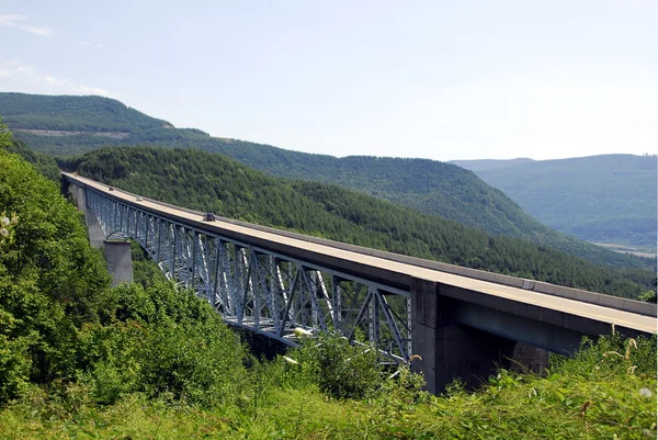 Ponte de suspensão sobre vale verde — Fotografia de Stock