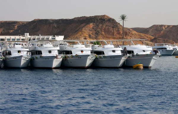 stock image Sea Yachts