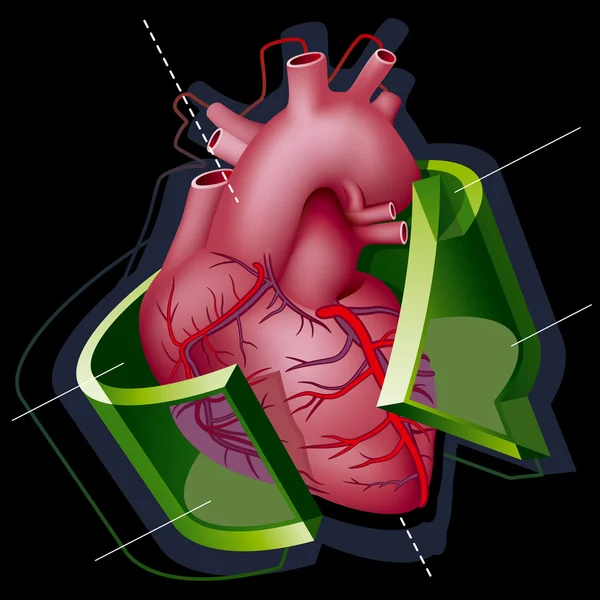 Srdce — Stockový vektor