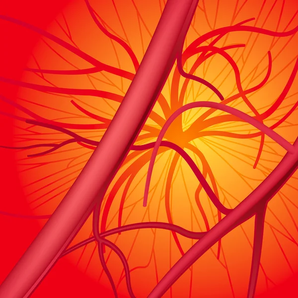Système sanguin — Image vectorielle
