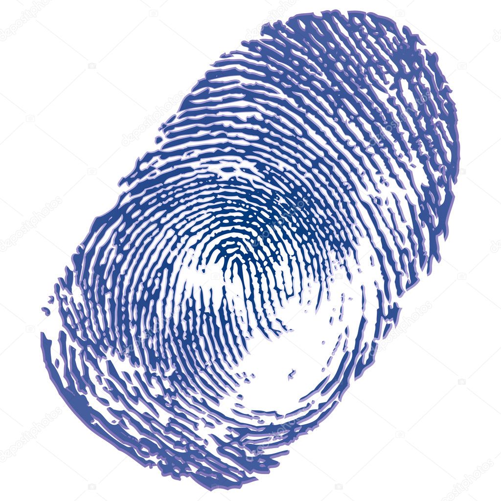 Blue ink thumbprint on white background. Vector Illustration