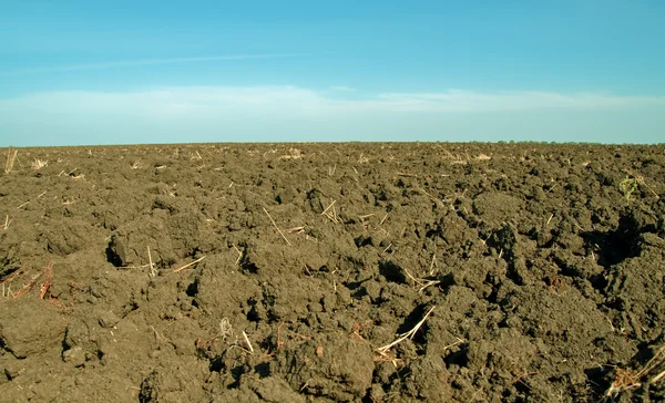 Stock image Moist, fertile soil