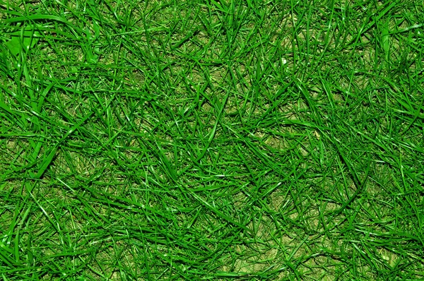 stock image Green grass