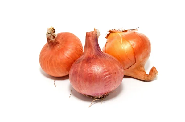 Three Large Onions White Background — Stock Photo, Image