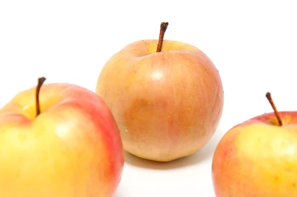 Ώριμα ζουμερά μήλα — Φωτογραφία Αρχείου