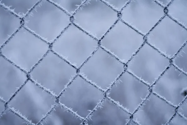 Donmuş kış — Stok fotoğraf