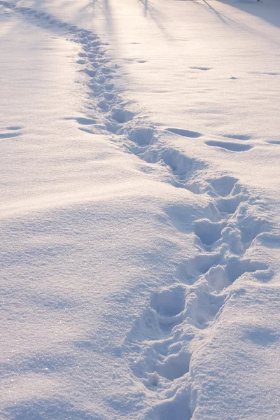 Marca de pie en la nieve — Foto de Stock