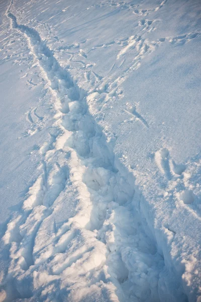 Foot mark in snow — Stock Photo, Image