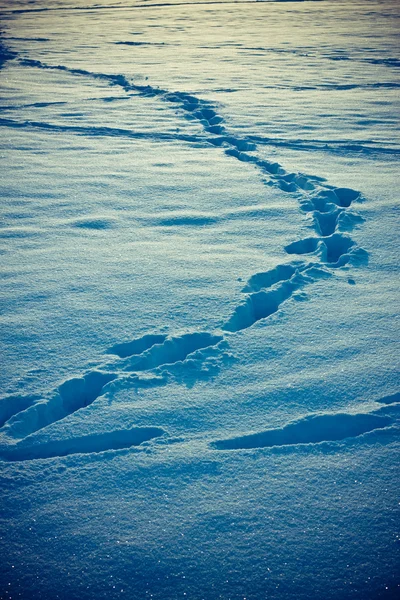 在雪中脚标记 — 图库照片