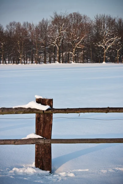 Capa de neve e recinto — Fotografia de Stock