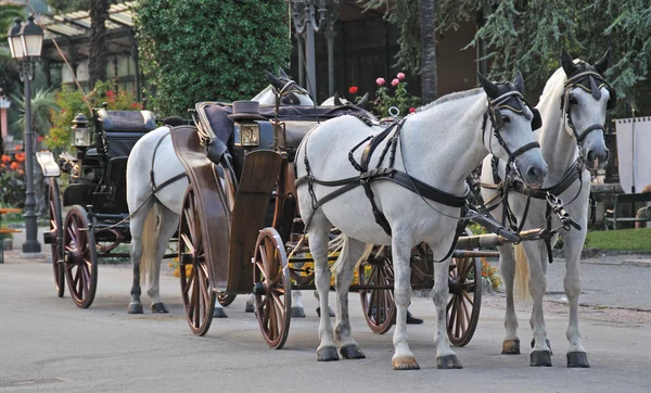 stock image Carrozza con cavalli