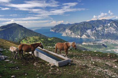 Panorama dal Monte Stivo