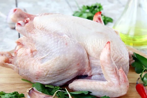 Kycklingkött — Stockfoto