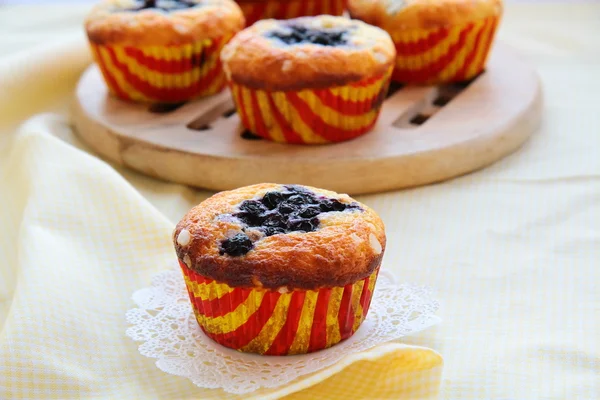 stock image Cupcakes