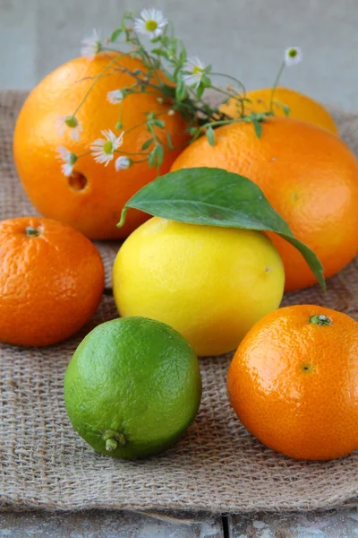 Citrus - oranje, tangerine, citroen, limoen — Stockfoto