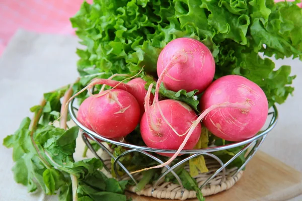Fresh organic radishes — Stock Photo, Image