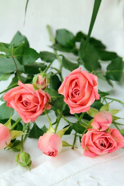 Boeket van roze mini rozen — Stockfoto