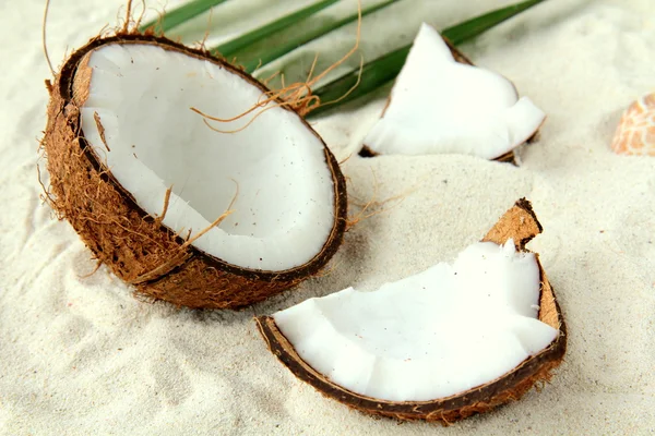 Coconut on the white sand beach — Stock Photo, Image