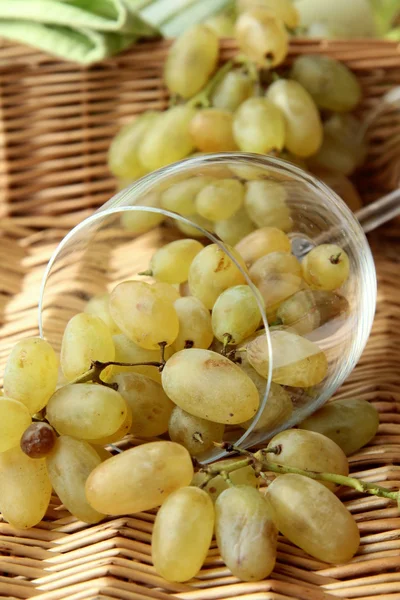 Green grapes in a wine glass — Stock Photo, Image