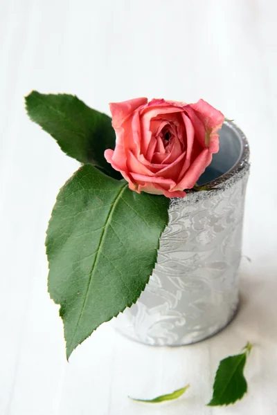 Růžová růže v stříbrný pohár — Stock fotografie