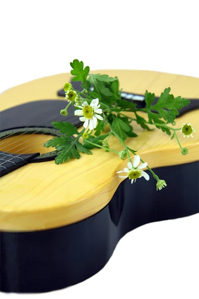 Kamomilla kukkia ja keltainen kitara — kuvapankkivalokuva