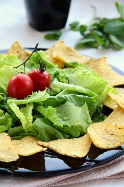 Мексиканские чипсы с листьями салата — стоковое фото