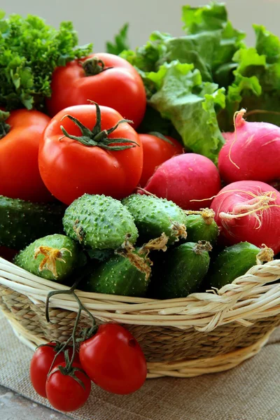 Čerstvá zelenina a bylinky mix — Stock fotografie