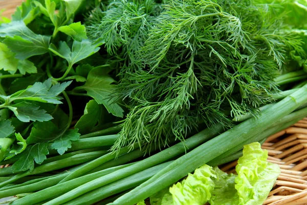 Grass parsley dill onion — Stock Photo, Image