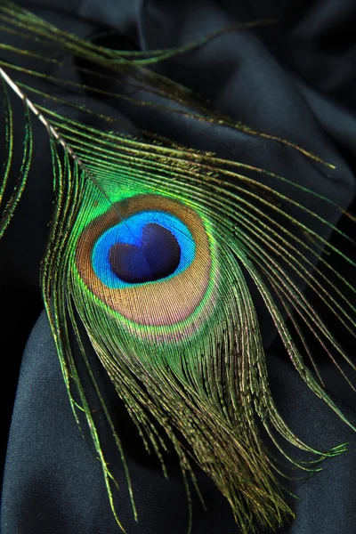 Pluma de un pavo real sobre una seda negra — Foto de Stock