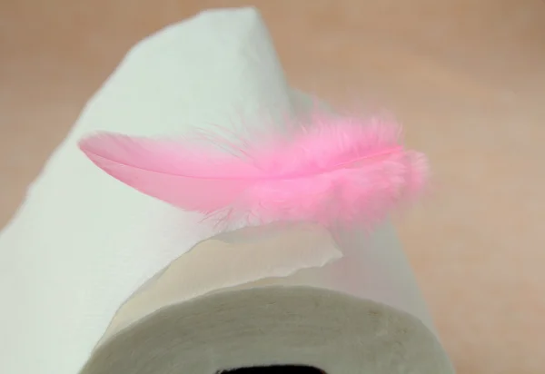 Rotolo bianco di carta igienica e una piuma rosa — Foto Stock
