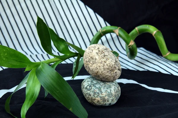Concepto de spa de piedras y una rama de bambú —  Fotos de Stock