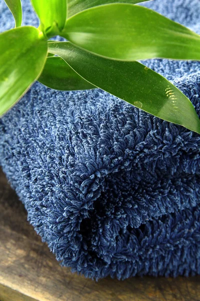 Modrý ručník s větví zelený bambus — Stock fotografie