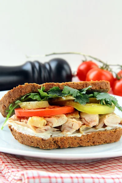 Big Healthy Sandwiches Made Whole Grain Bread Turkey Breast Vegetables — Stock Photo, Image