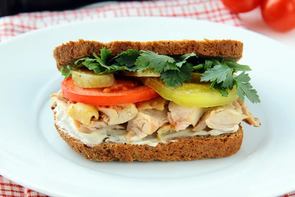 Big healthy sandwiches — Stock Photo, Image