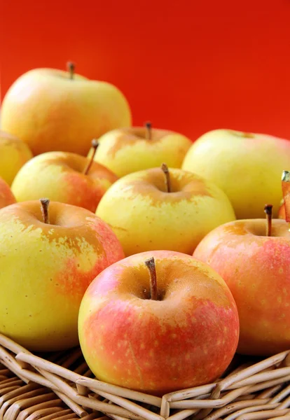 Pommes Mûres Jaunes Sur Panneau Clôture — Photo