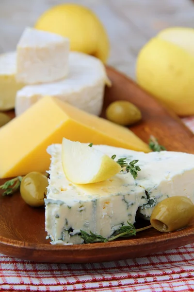 stock image Various types of cheese