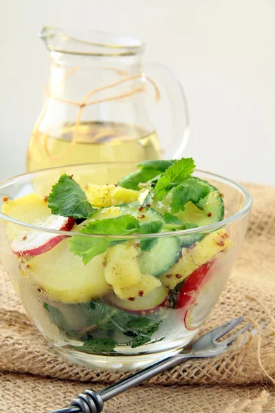 Potato Salad Cucumber Radish Dressed Mustard — Stock Photo, Image