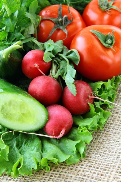 Szerves keveréke a friss zöldségek — Stock Fotó
