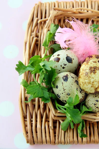 Пасхальное Яйцо Украшает Красиво Красочно — стоковое фото