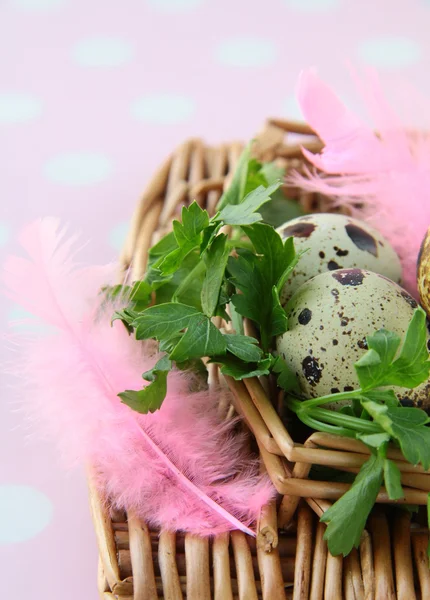 Paskalya yumurtası renkli dekorasyon — Stok fotoğraf