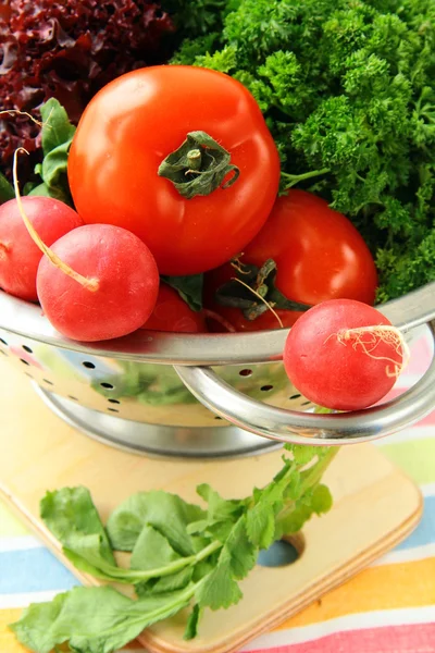 Färska grönsaker, gurka, rättika, tomat och sallad — Stockfoto