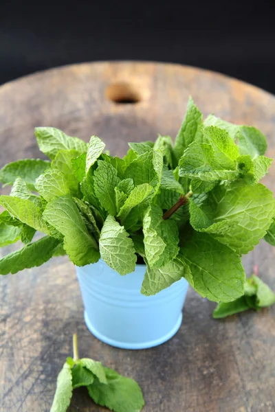 Bunch of fresh green mint — Stock Photo, Image