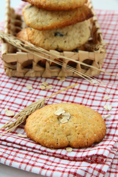 Taze pişmiş yulaf ezmeli kurabiye — Stok fotoğraf