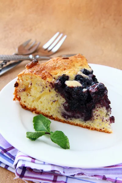 Prachtige zelfgemaakte blueberry pie — Stockfoto