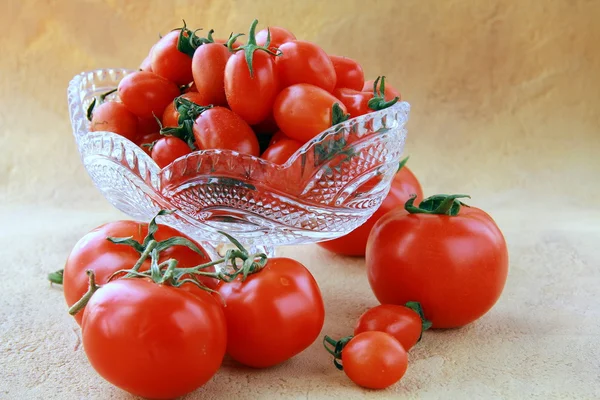 Diferentes variedades de tomates — Fotografia de Stock