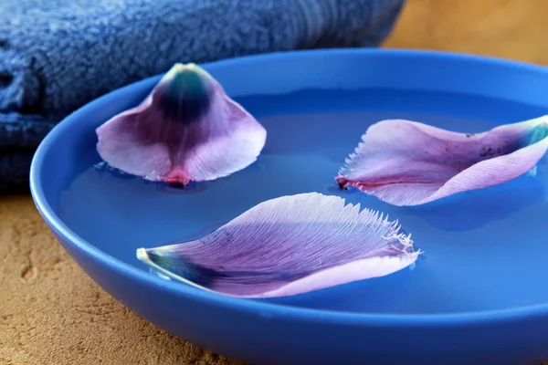 Purple towels and flower petals spa concept — Stock Photo, Image